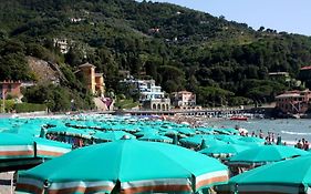 Le Case Della Lizza - Casa Verde