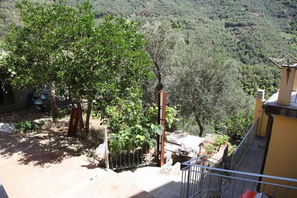 Le Case Della Lizza - Casa Verde Levanto Extérieur photo